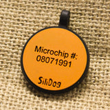 Circle